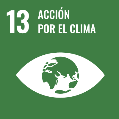 Logo ODS Goal nº 13